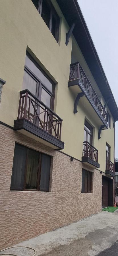 Гостевой дом Villa Beridze Боржоми Экстерьер фото